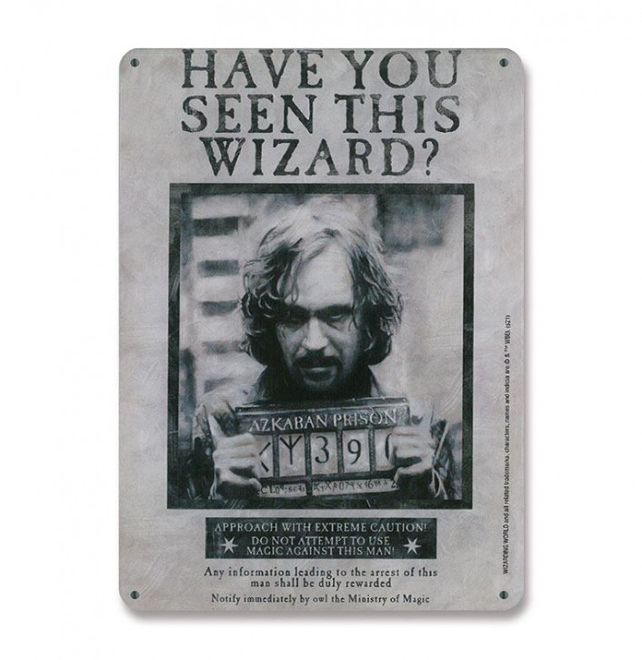 Harry Potter - Blechschild - Have You Seen This Wizard
