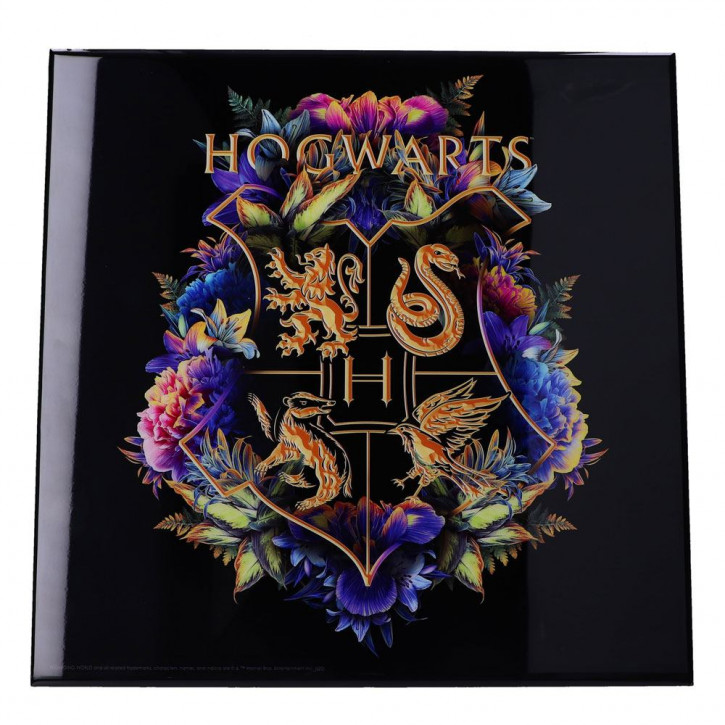 Harry Potter - Crystal Clear Picture Wanddekoration - Hogwarts Fine Oddities
